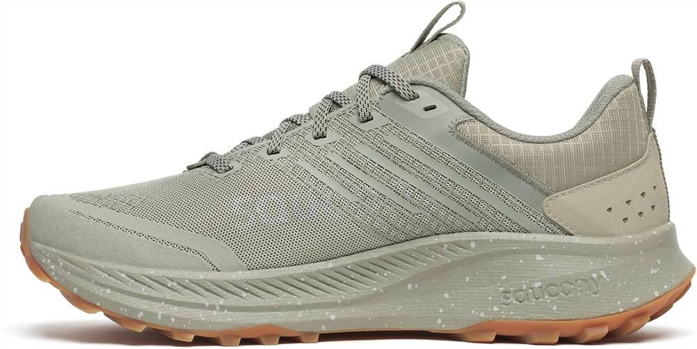 NEW SAUCONY men's ride tr2 shoe in birch/silver